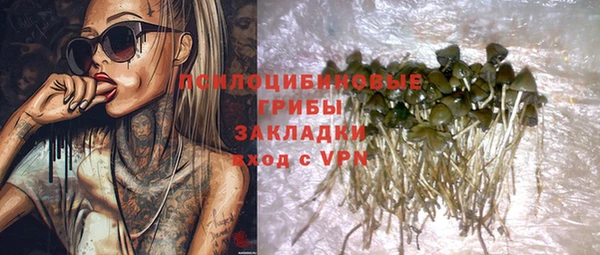 эйфоретик Карпинск
