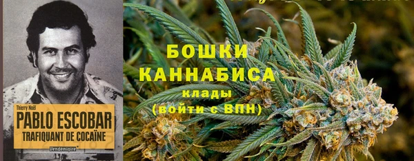 эйфоретик Карпинск