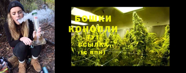 эйфоретик Карпинск