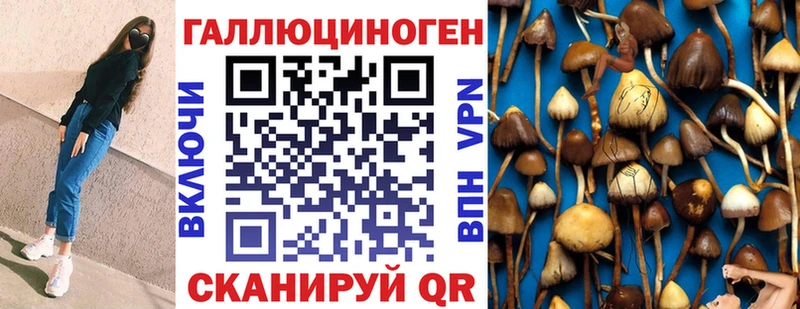 Купить где  Балабаново  Псилоцибиновые грибы мухоморы 